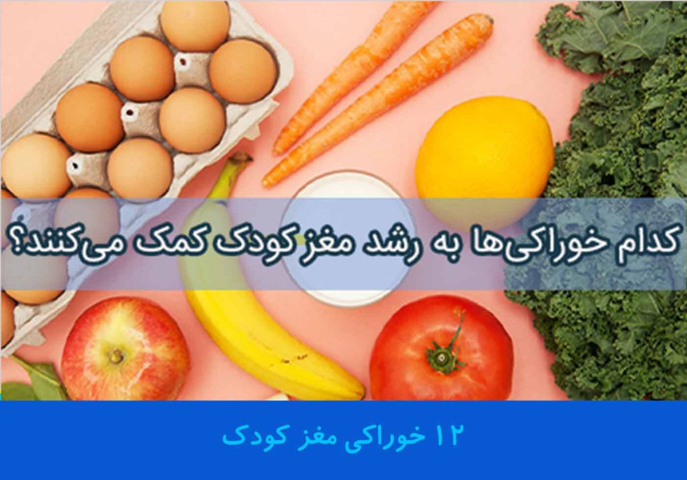 غذای مغز