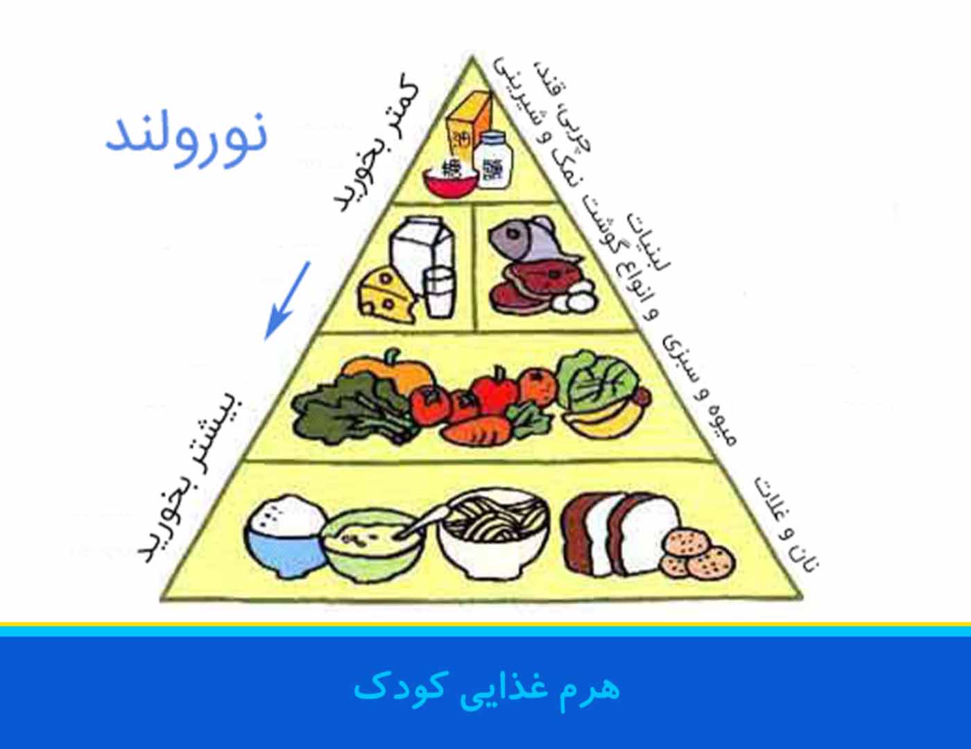 هرم غذایی