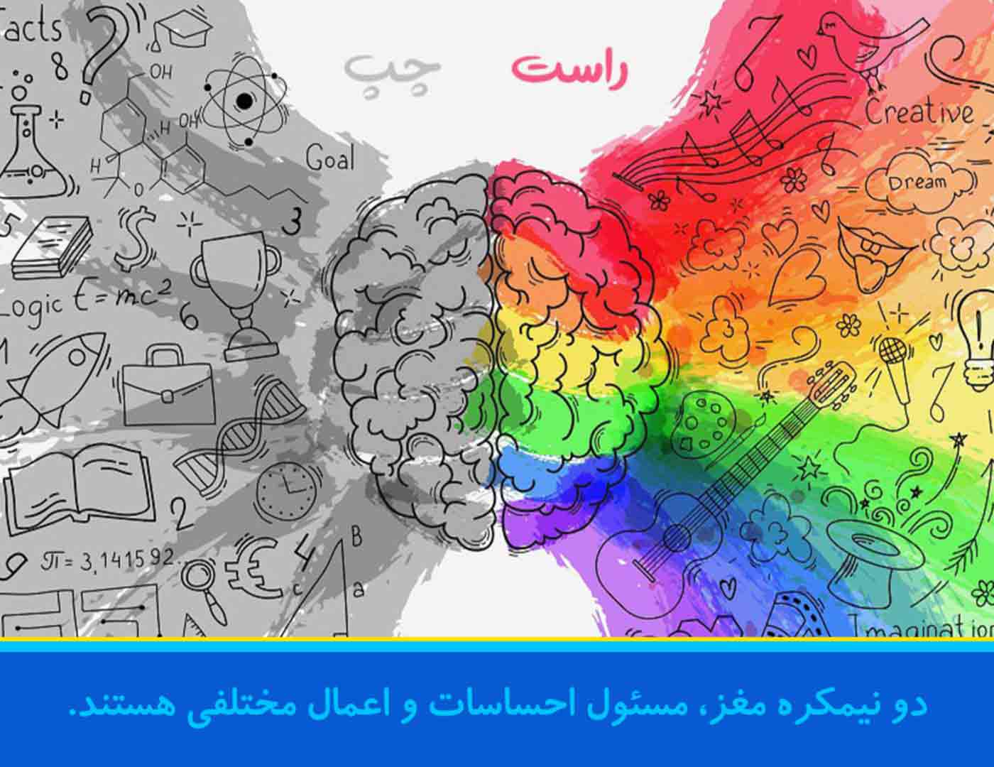 نیمکره-مغز-کودک.jpg