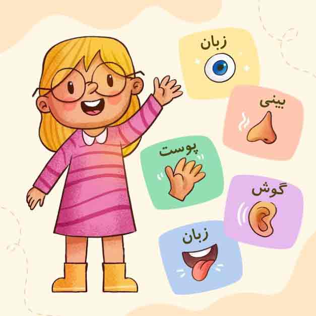 اندام های حواس پنجگانه
