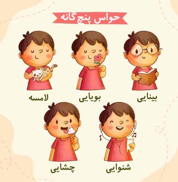 حواس پنجگانه کودکان.jpg