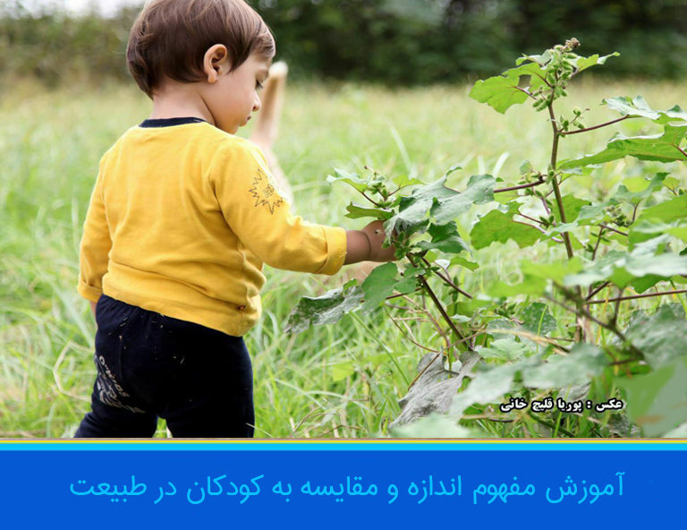 اموزش اندازه و مقایسه در طبیعت